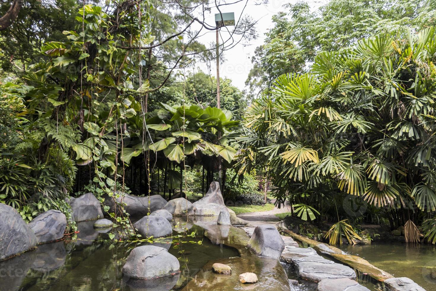 giardino dell'oasi nei giardini botanici di Perdana a Kuala Lumpur, Malesia. foto
