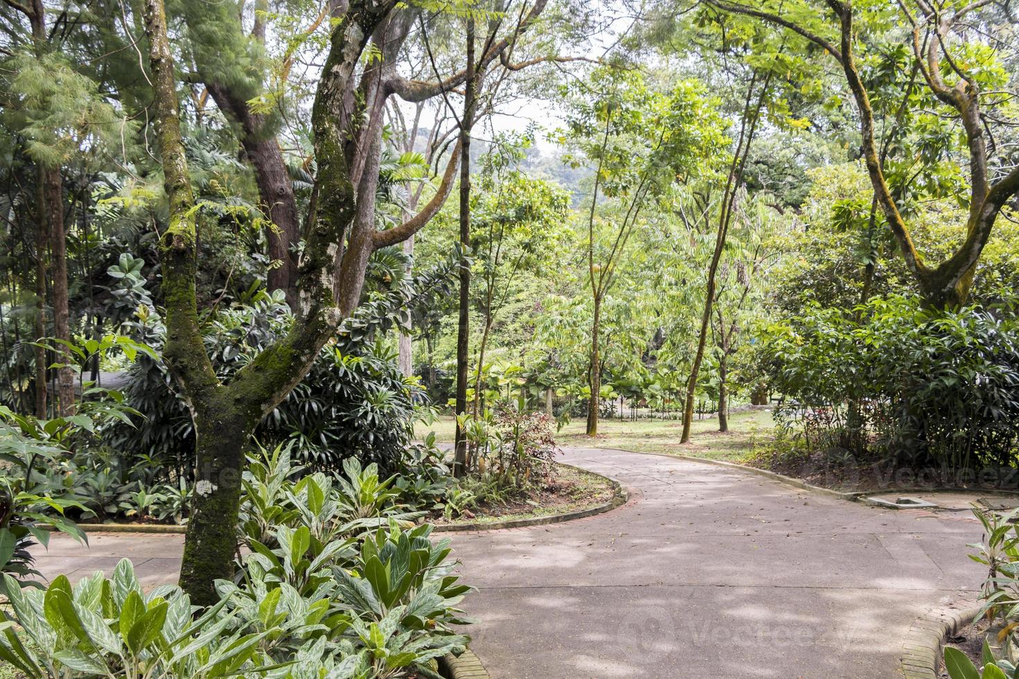 parco perfetto e pulito giardini botanici perdana a kuala lumpur. foto