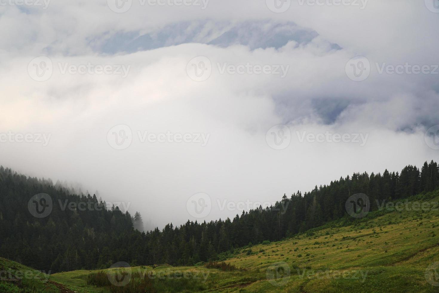 nebbia al gito plateau a rize turchia foto