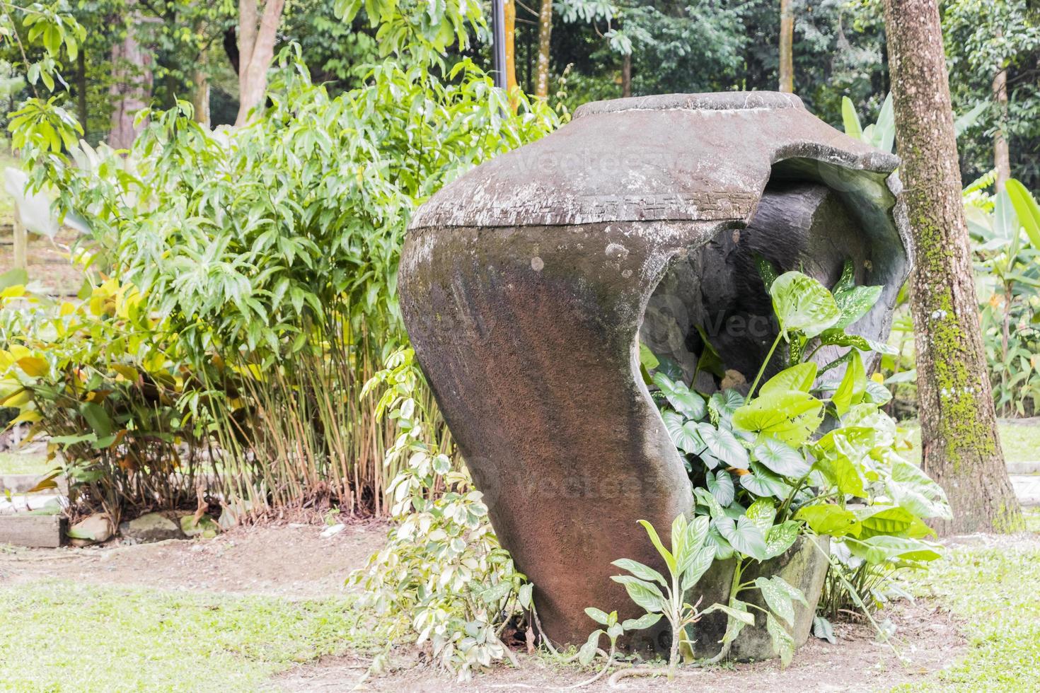 grande vaso rotto con piante tropicali, kuala lumpur, malesia. foto