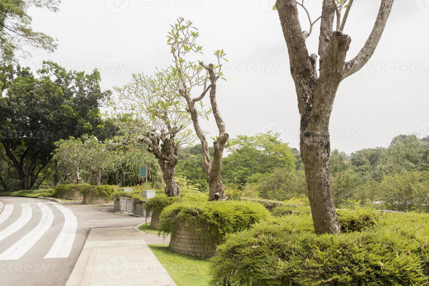 giardini botanici perdana a kuala lumpur, malesia foto