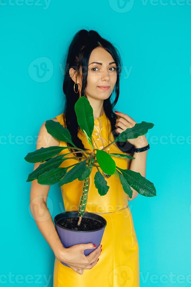 la bella donna tiene il fiore in vaso su un fondo blu foto