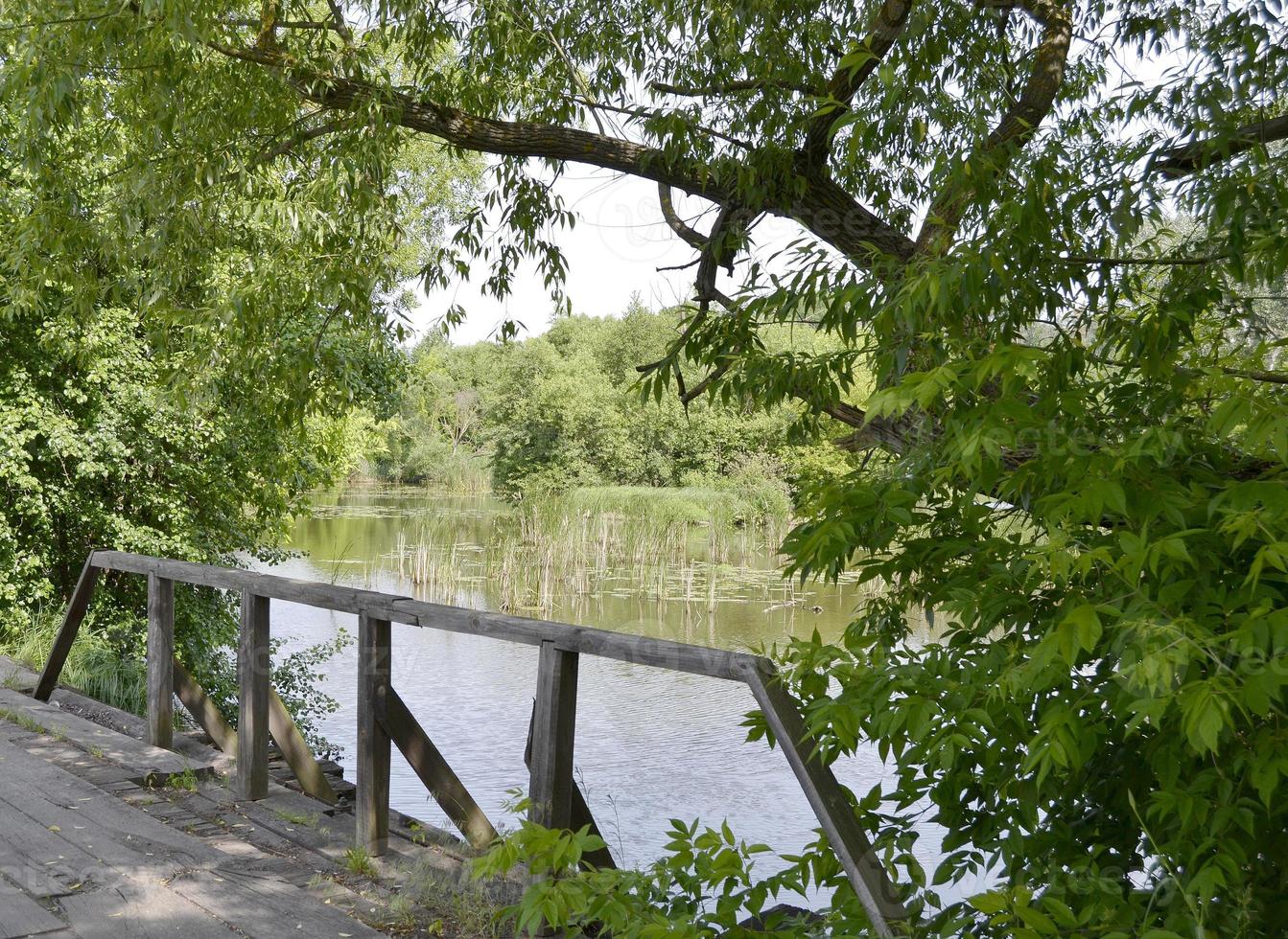 ponte di legno sul fiume foto