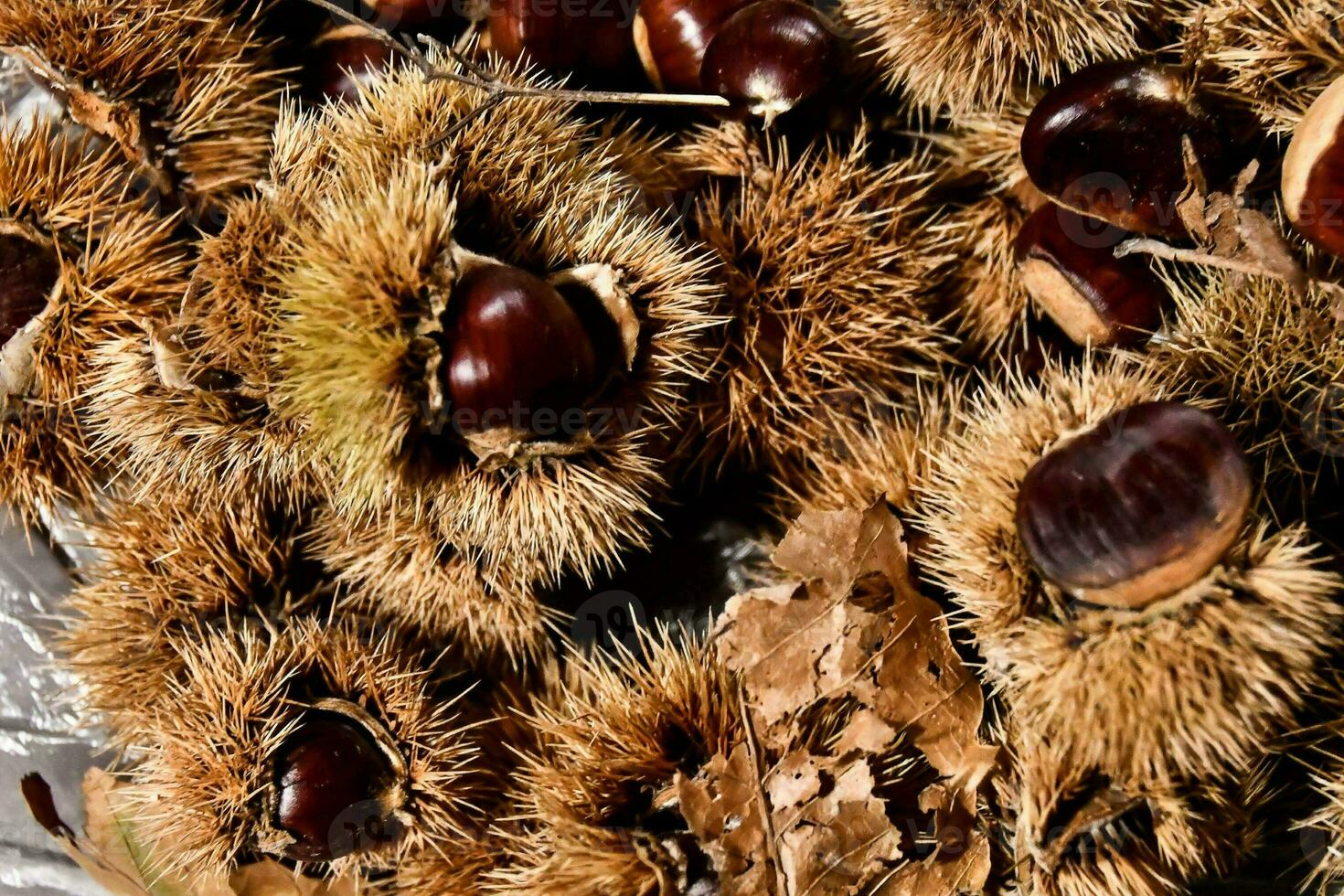 mucchio di castagne foto