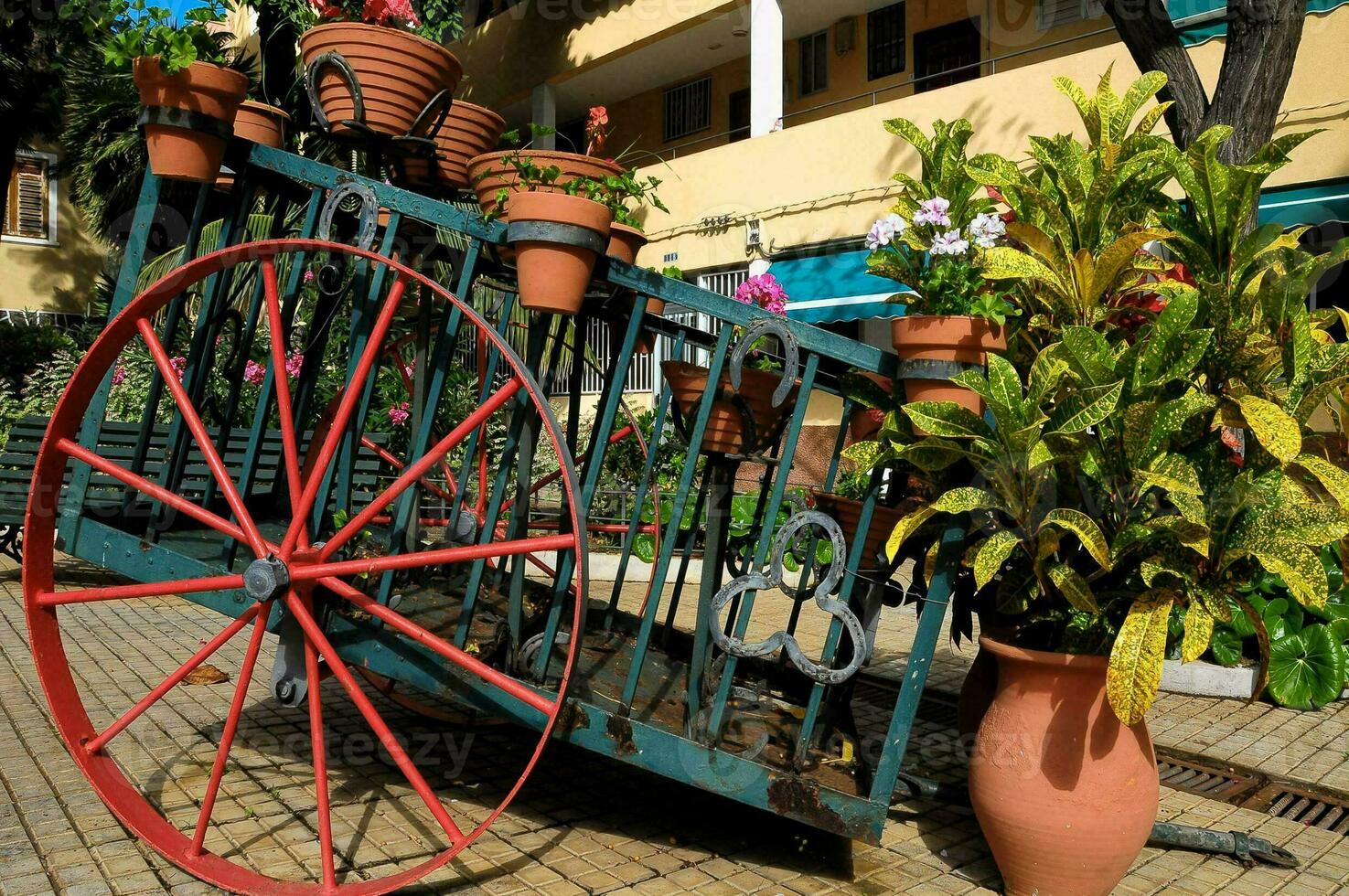 carrello con in vaso impianti foto