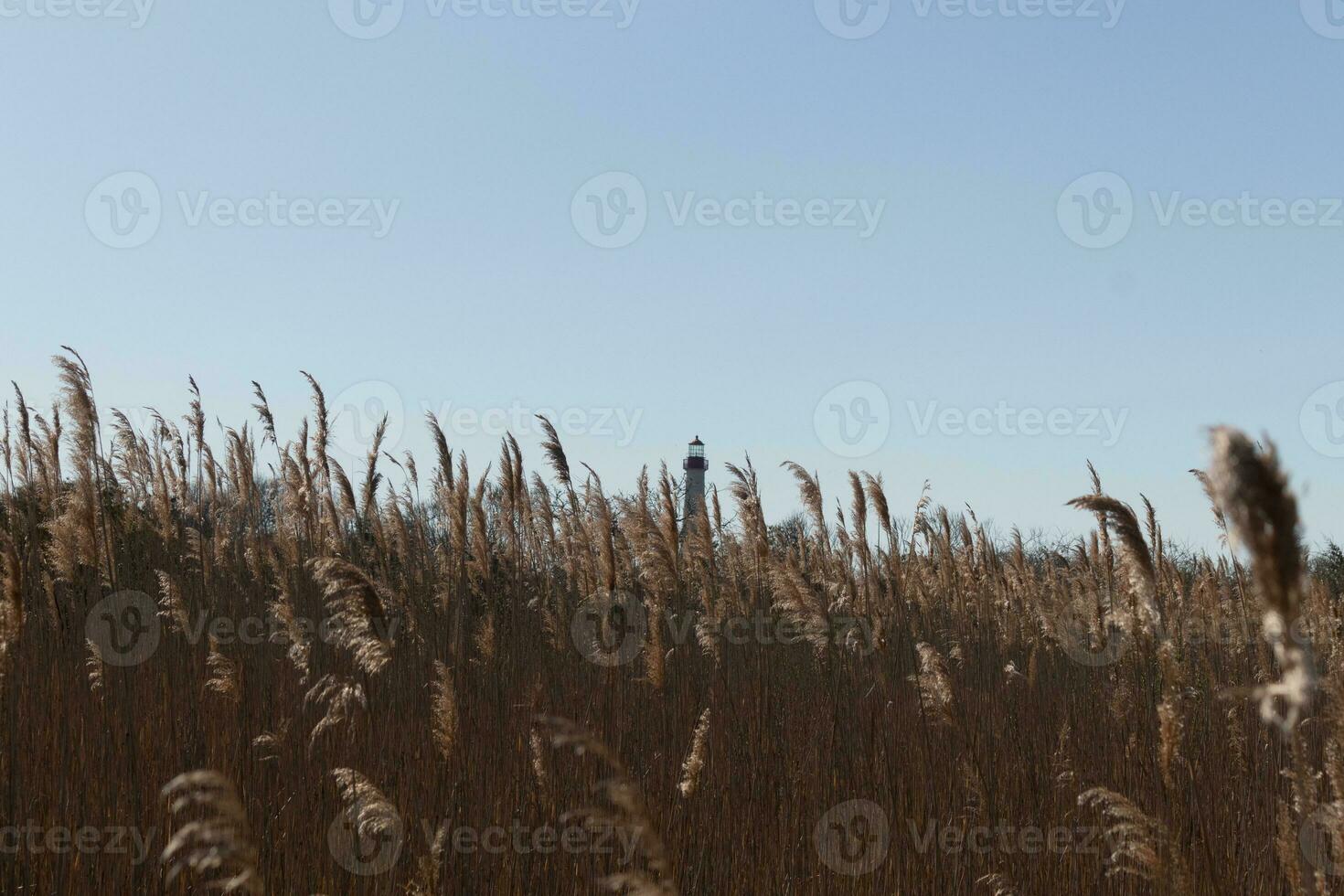 Questo è un Immagine di capo Maggio punto faro nel il distanza. il bellissimo rosso superiore In arrivo su sopra il alto Marrone erba nel il campo. Questo Immagine e il colori ricordare me di il autunno stagione. foto