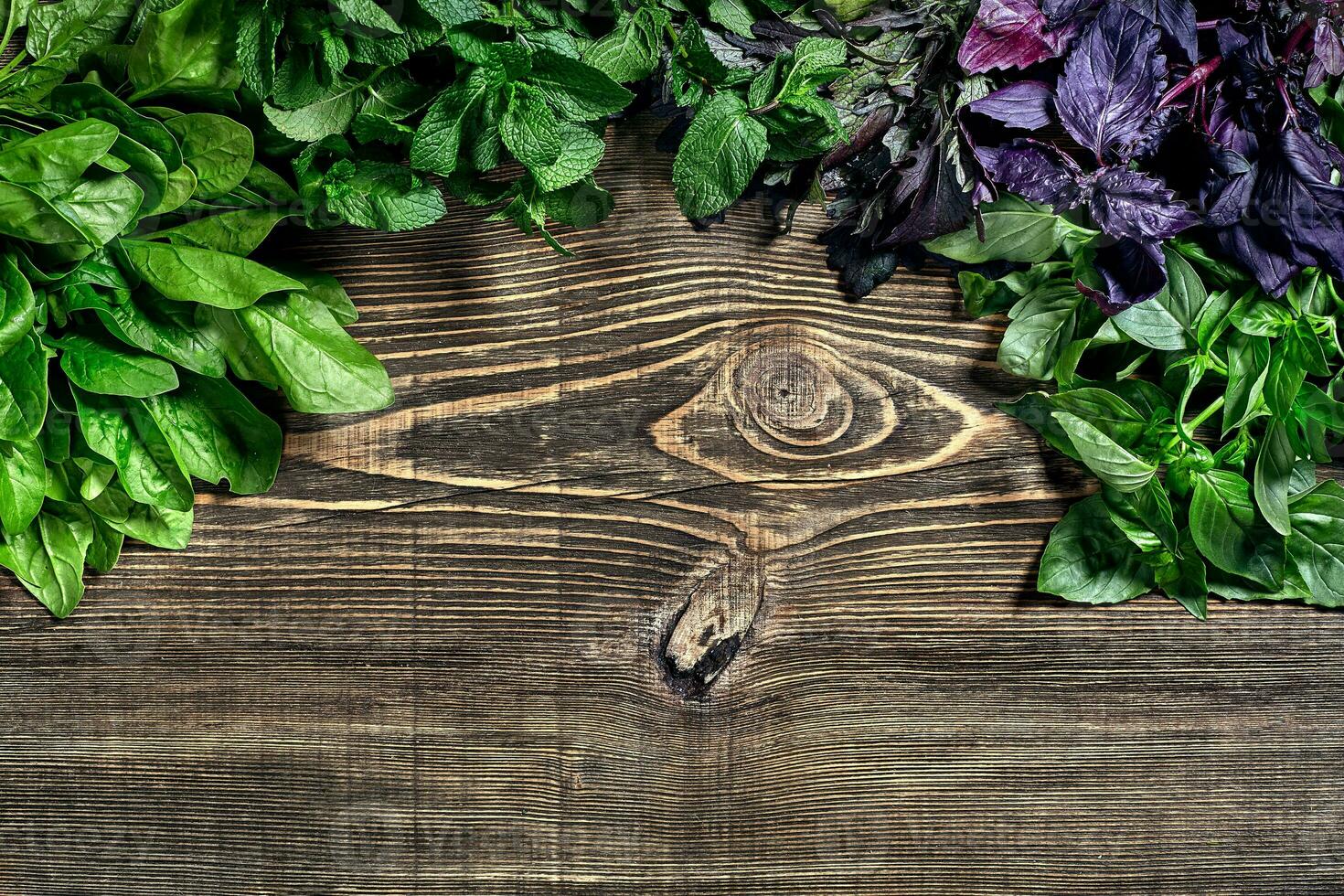 varietà di fresco biologico erbe aromatiche su di legno sfondo. appena raccolto erbe aromatiche Compreso basilico, rucola. superiore Visualizza. copia spazio. foto