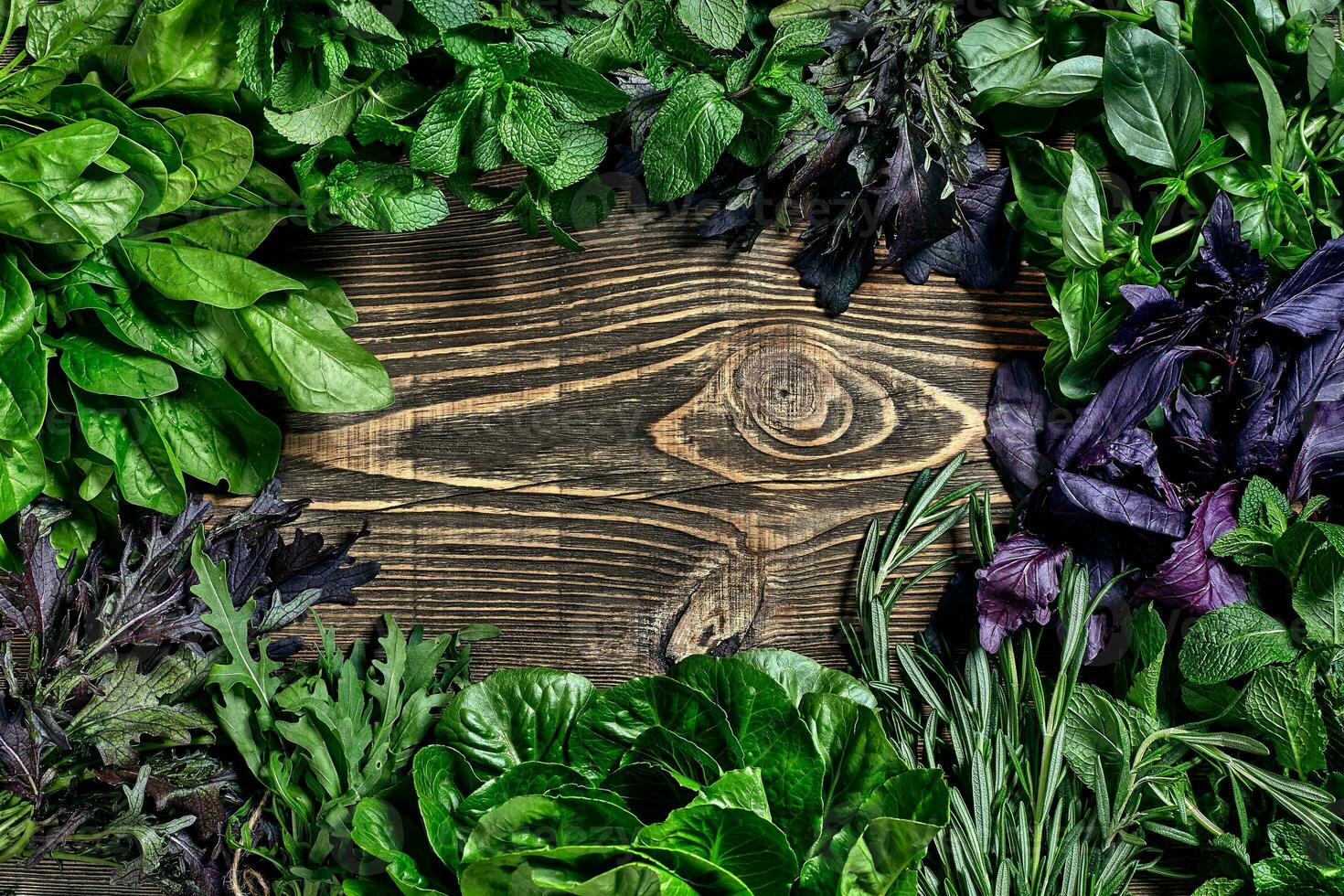 varietà di fresco biologico erbe aromatiche su di legno sfondo. appena raccolto erbe aromatiche Compreso basilico, rucola. superiore Visualizza. copia spazio. foto