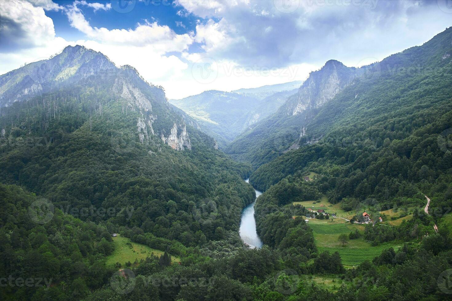 montagna fiume tara e foresta nel montenegro foto