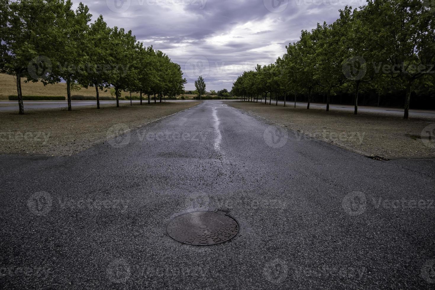 strada con alberi ai lati foto