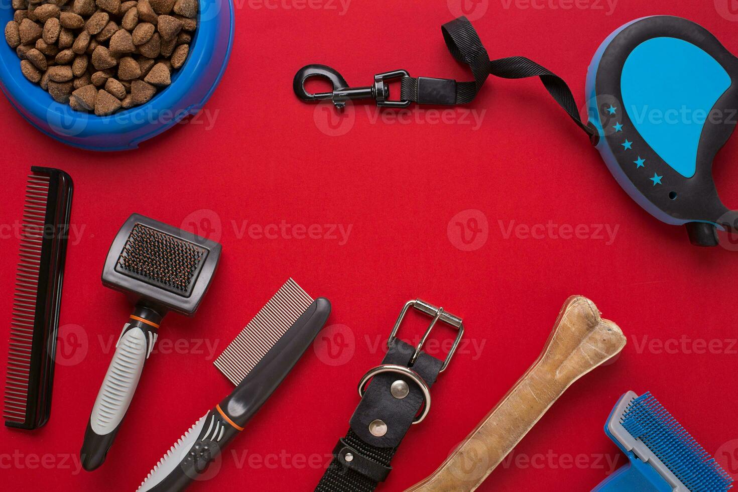 animale domestico Accessori su rosso sfondo. superiore Visualizza foto