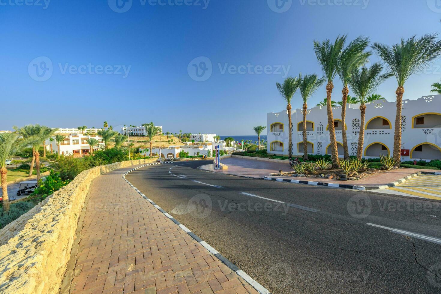 il Visualizza per strada e palma alberi vicino il alberghi foto