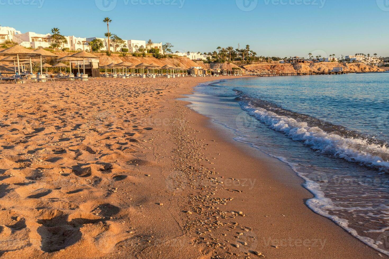 bellissimo spiaggia costa nel il rosso mare, Egitto. foto