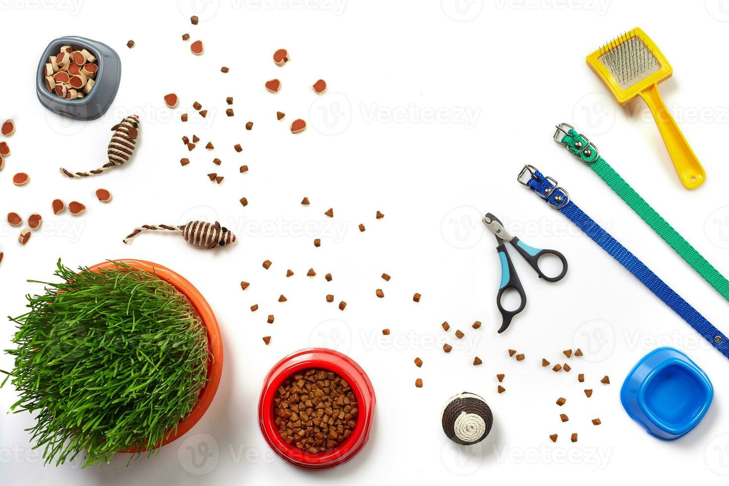 piatto posare composizione con Accessori per un' gatto isolato su bianca sfondo. animale domestico cura. foto