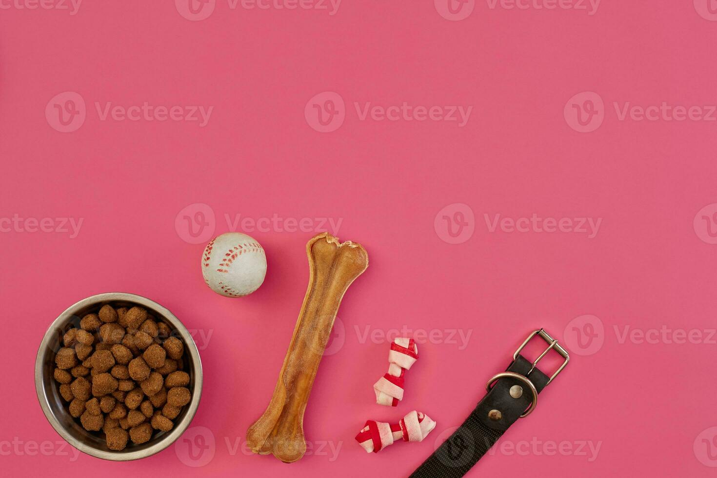 cane spuntini, cane mastica, cane osso, palla giocattolo per cane su un' rosa sfondo con copia spazio foto