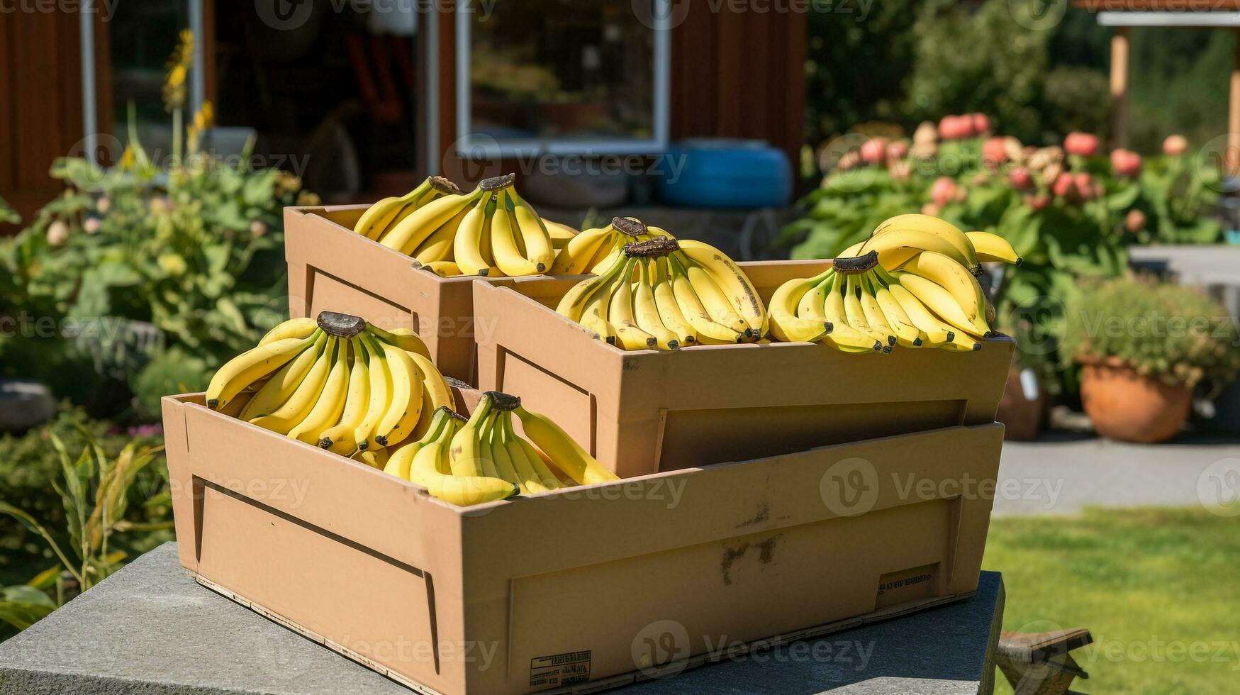 appena raccolto Banana frutta a partire dal giardino posto nel il scatole. generativo ai foto