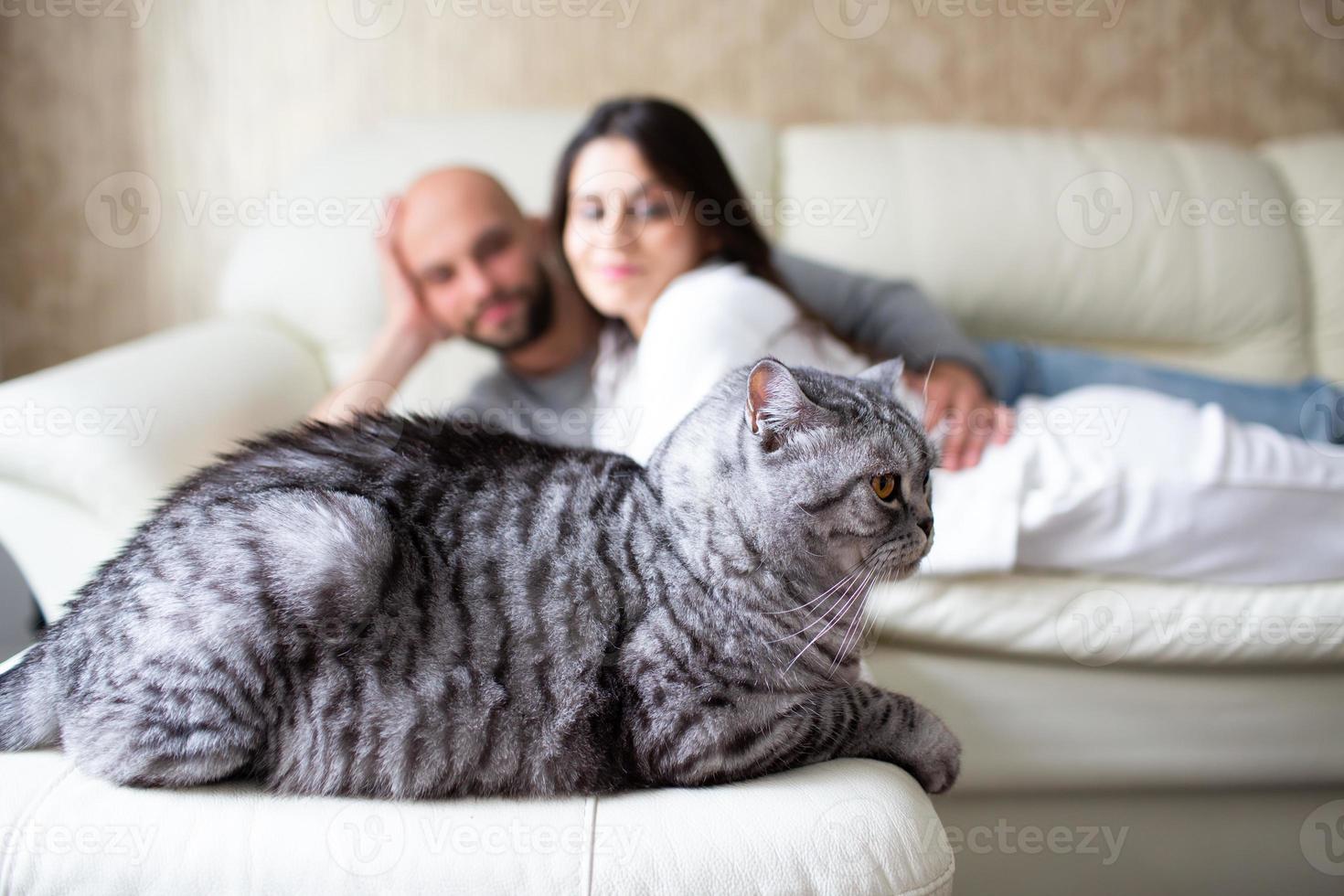 gatto si trova in primo piano. sullo sfondo vediamo i suoi proprietari foto