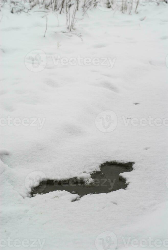 inverno fiocco di neve grafico su isolato sfondo foto