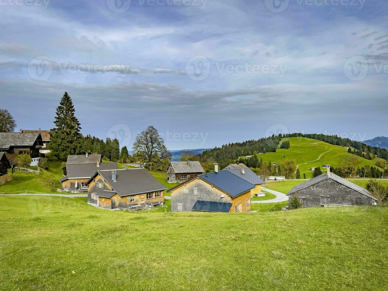 camminare attraverso il fohramoos europeo protezione la zona nel Voralberg, Austria foto