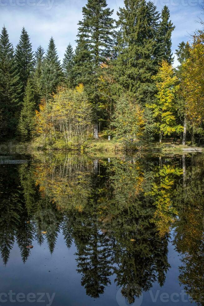 riflessi su il lago boedelesee foto