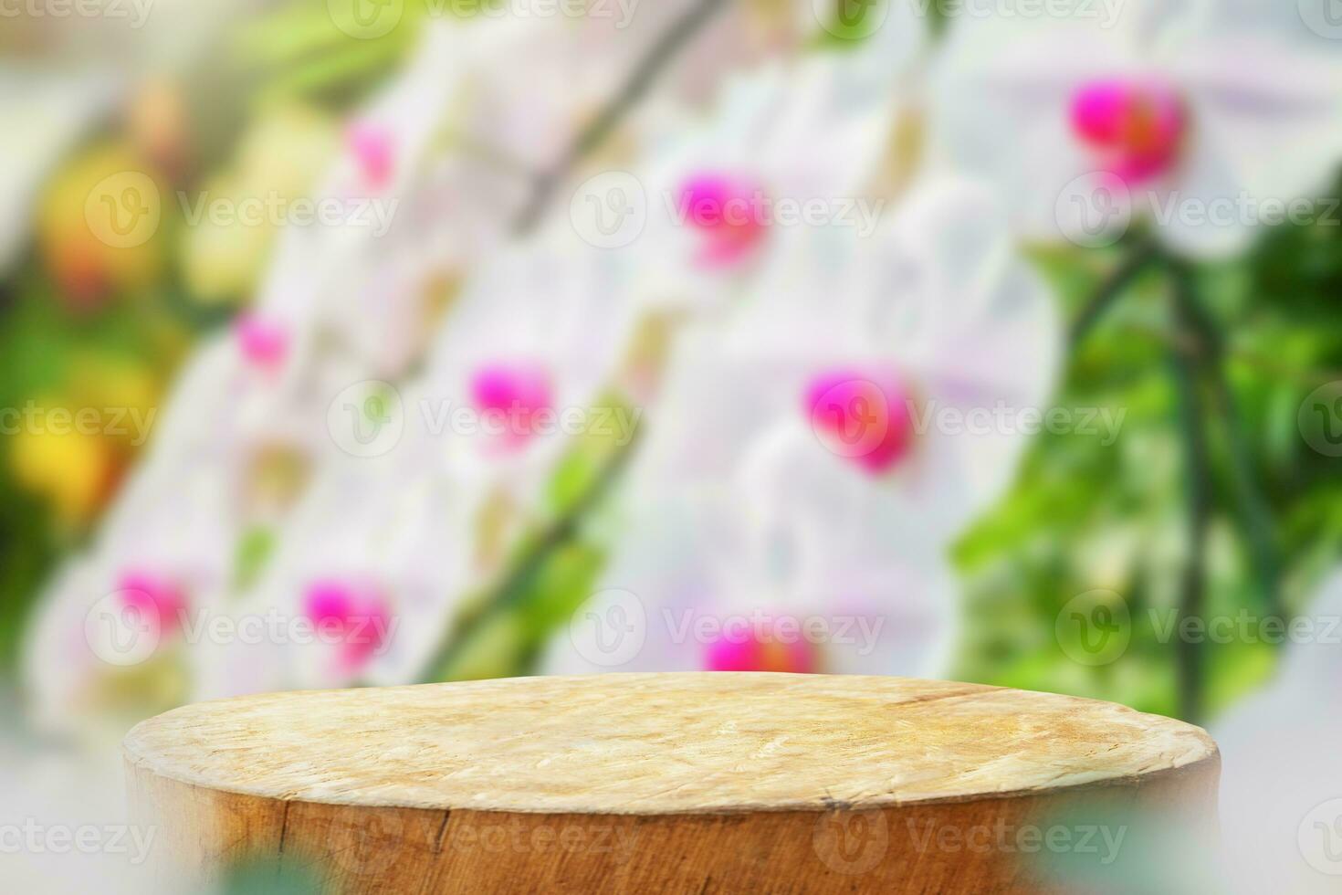vuoto vecchio albero ceppo tavolo superiore con sfocatura orchidea giardino sfondo per Prodotto Schermo foto