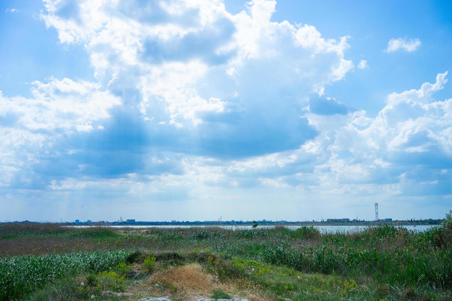 paesaggio con un lago ricoperto di canne sotto un cielo blu. foto