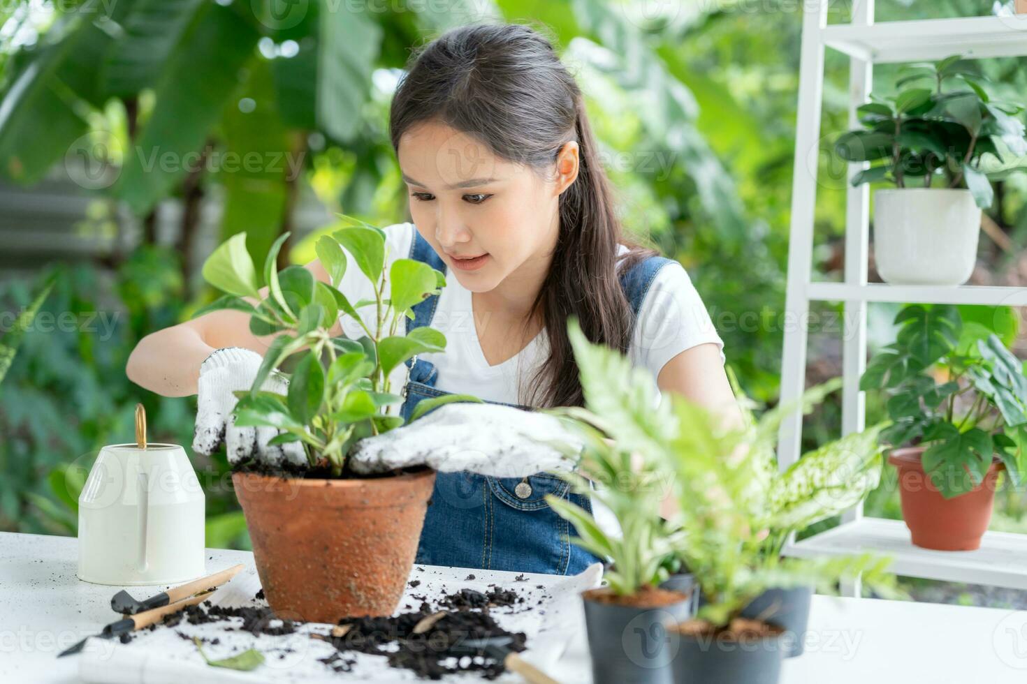 bellissimo asiatico donna femmina pianta e prendere cura alberi nel vasi di fiori come passatempo e relax. pianta i saldi piccolo attività commerciale. Casa giardino, giungla, giardiniere, fiore decorazione, verde, contento stile di vita nel casa foto