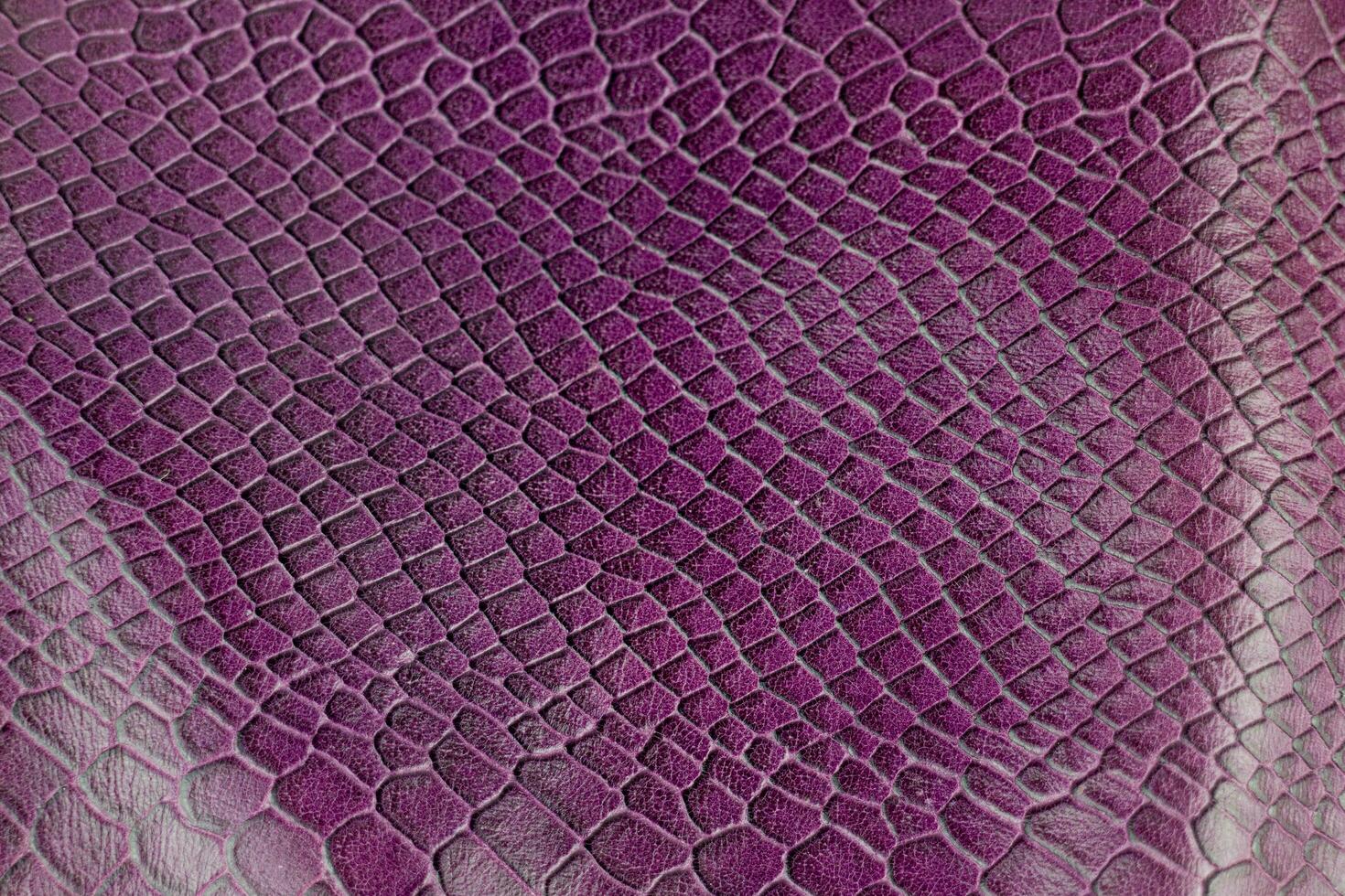 viola coccodrillo pelle struttura sfondo. vicino su di serpente pelle. foto