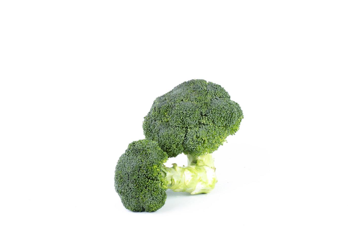 verdure broccoli su sfondo bianco foto