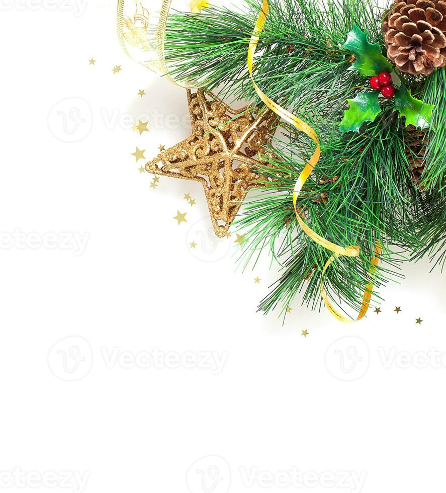 Natale albero confine foto