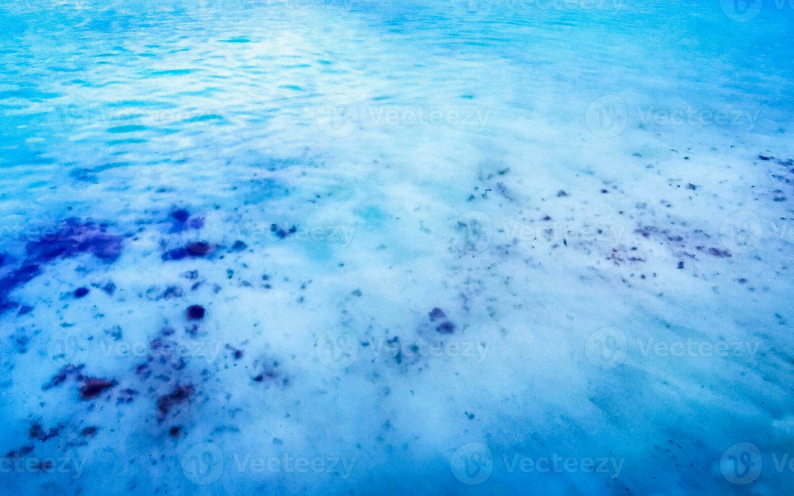 onde a tropicale spiaggia caraibico mare chiaro turchese acqua Messico. foto