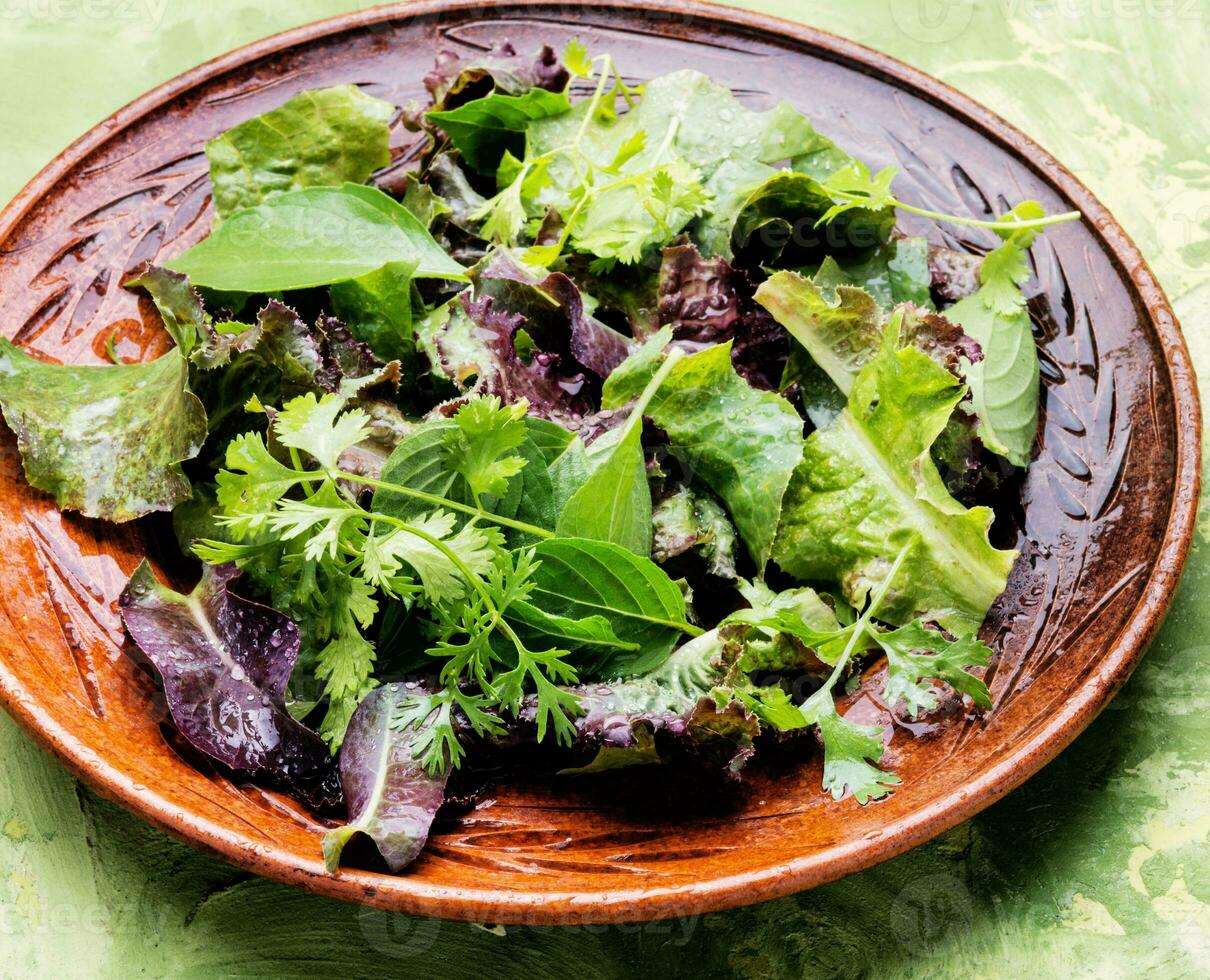 insalata verde fresca foto