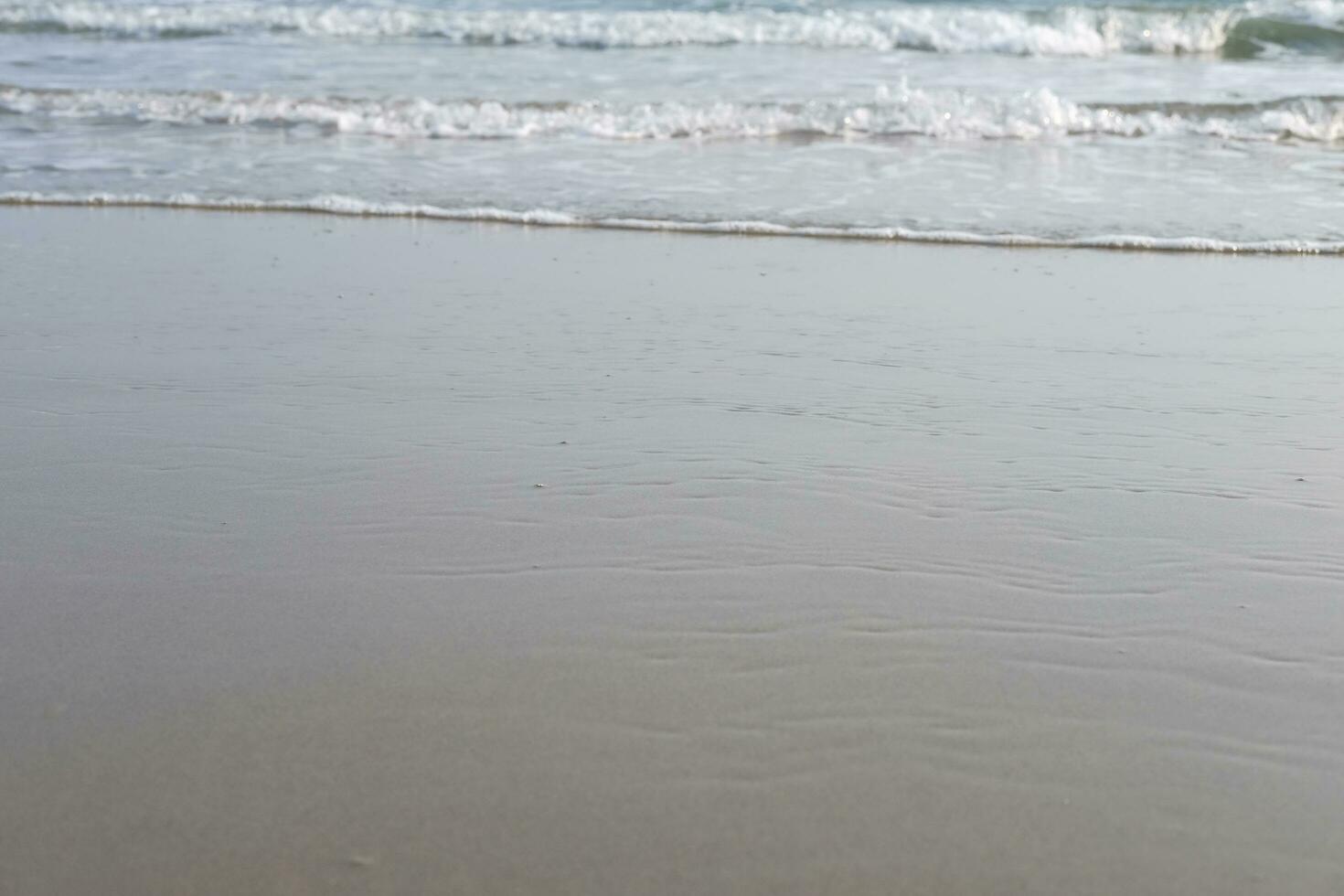 spugna su sabbia e spiaggia con luce del sole e tramonto nel il mare di Tailandia. natura nel estate e pieno di speranza nel vita per vacanza e vacanza concetto foto