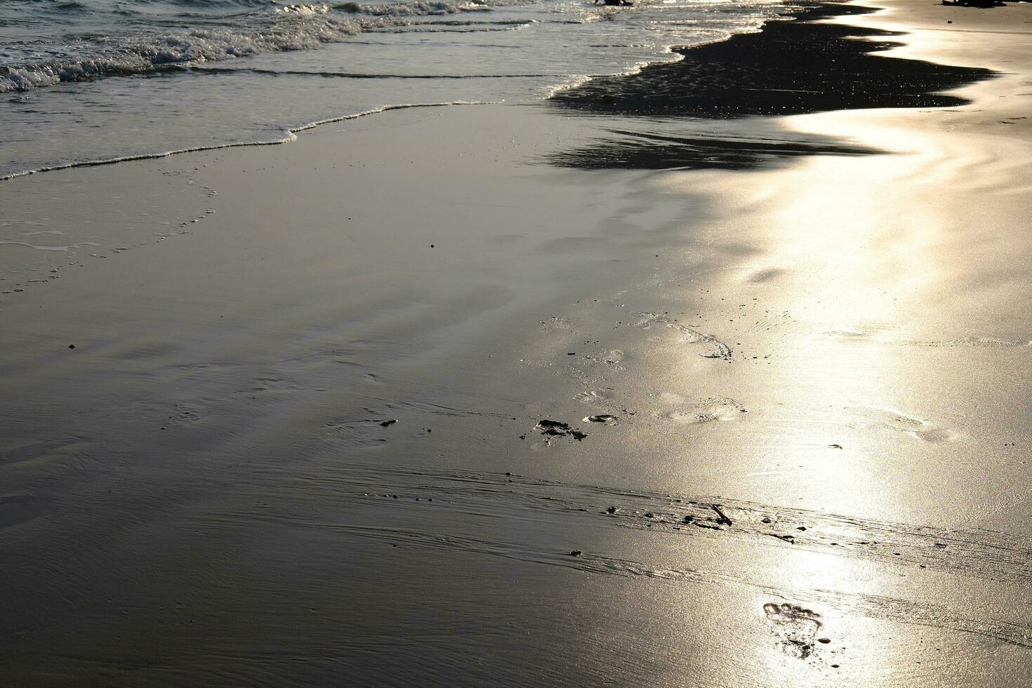 spugna su sabbia e spiaggia con luce del sole e tramonto nel il mare di Tailandia. natura nel estate e pieno di speranza nel vita per vacanza e vacanza concetto foto