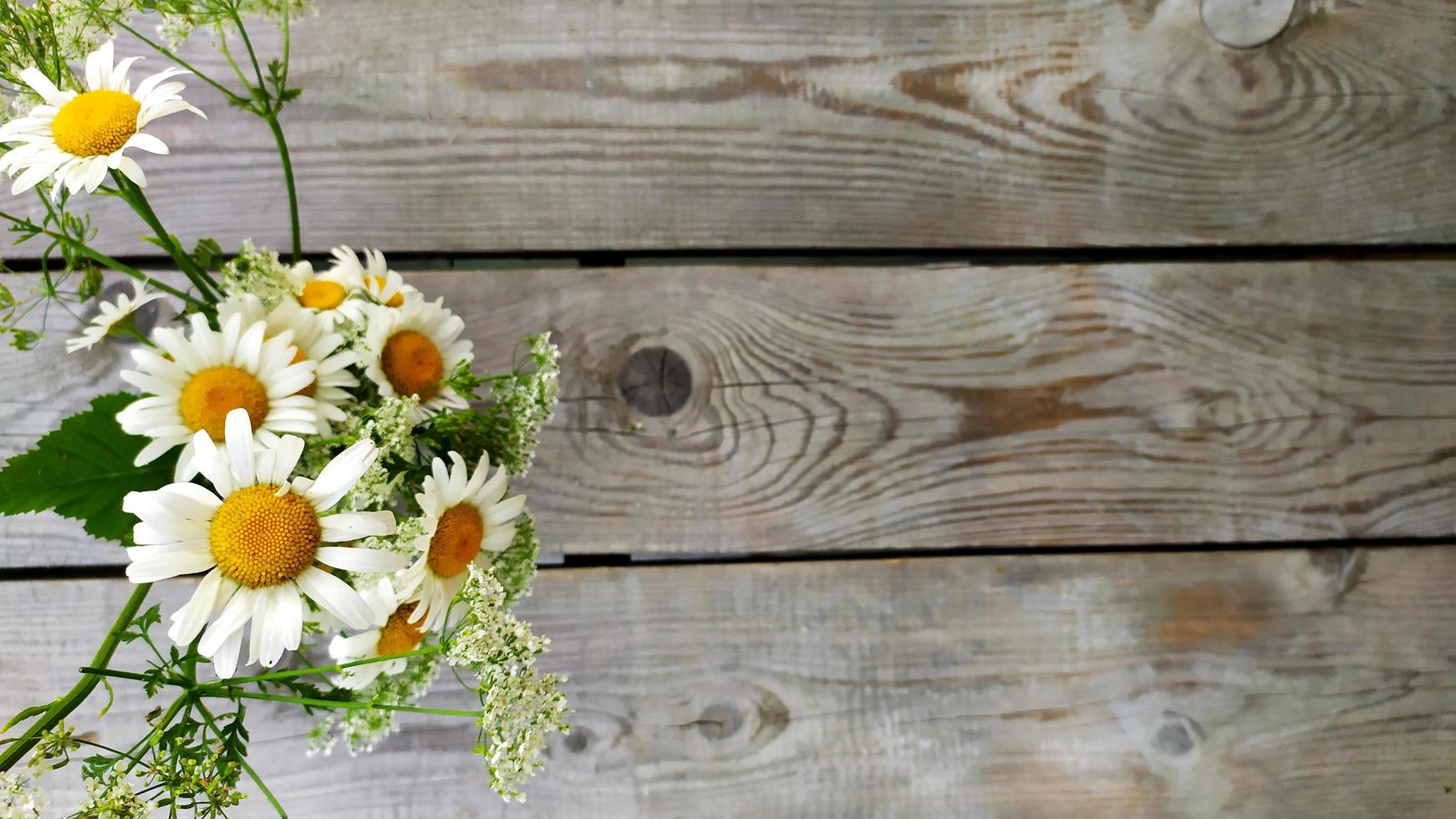 mazzo di margherite. i fiori di camomilla stanno in un vaso foto