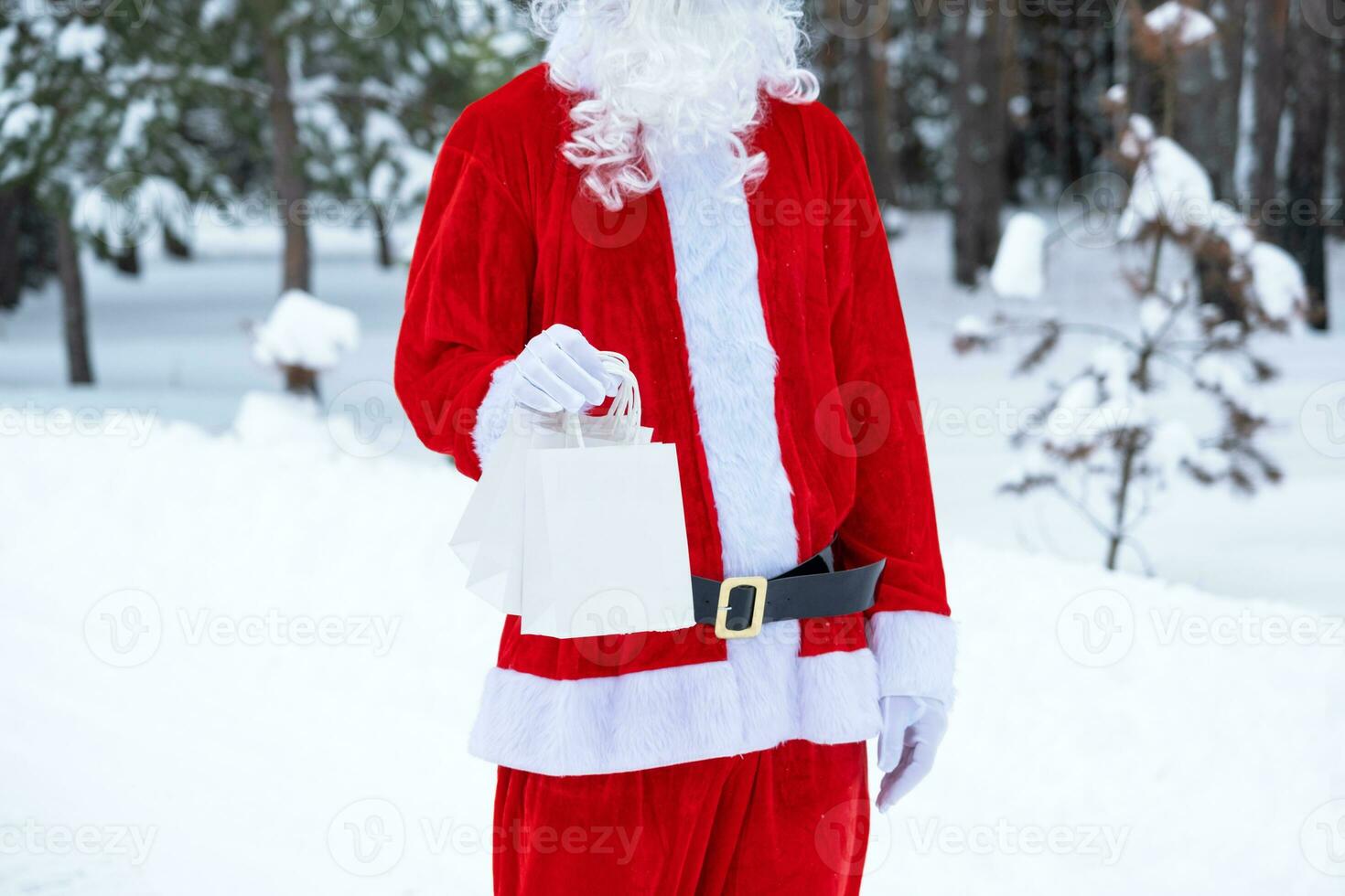 Santa Claus all'aperto nel inverno e neve passaggio nel mano carta borse con mestiere regalo, cibo consegna. acquisti, confezione raccolta differenziata, fatto a mano, consegna per Natale e nuovo anno foto