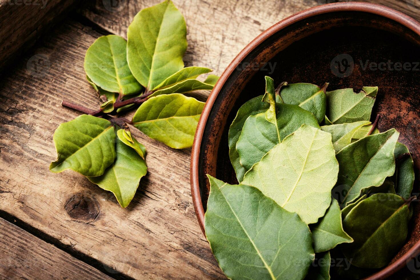 erbe aromatiche e spezie, alloro foglia foto