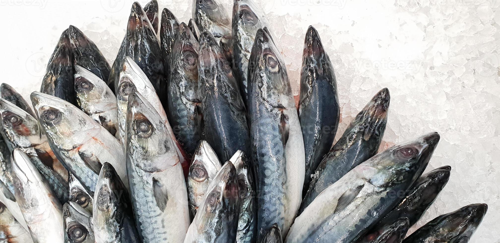 sgombro su ghiaccio al supermercato. pesce giapponese congelato crudo morto foto