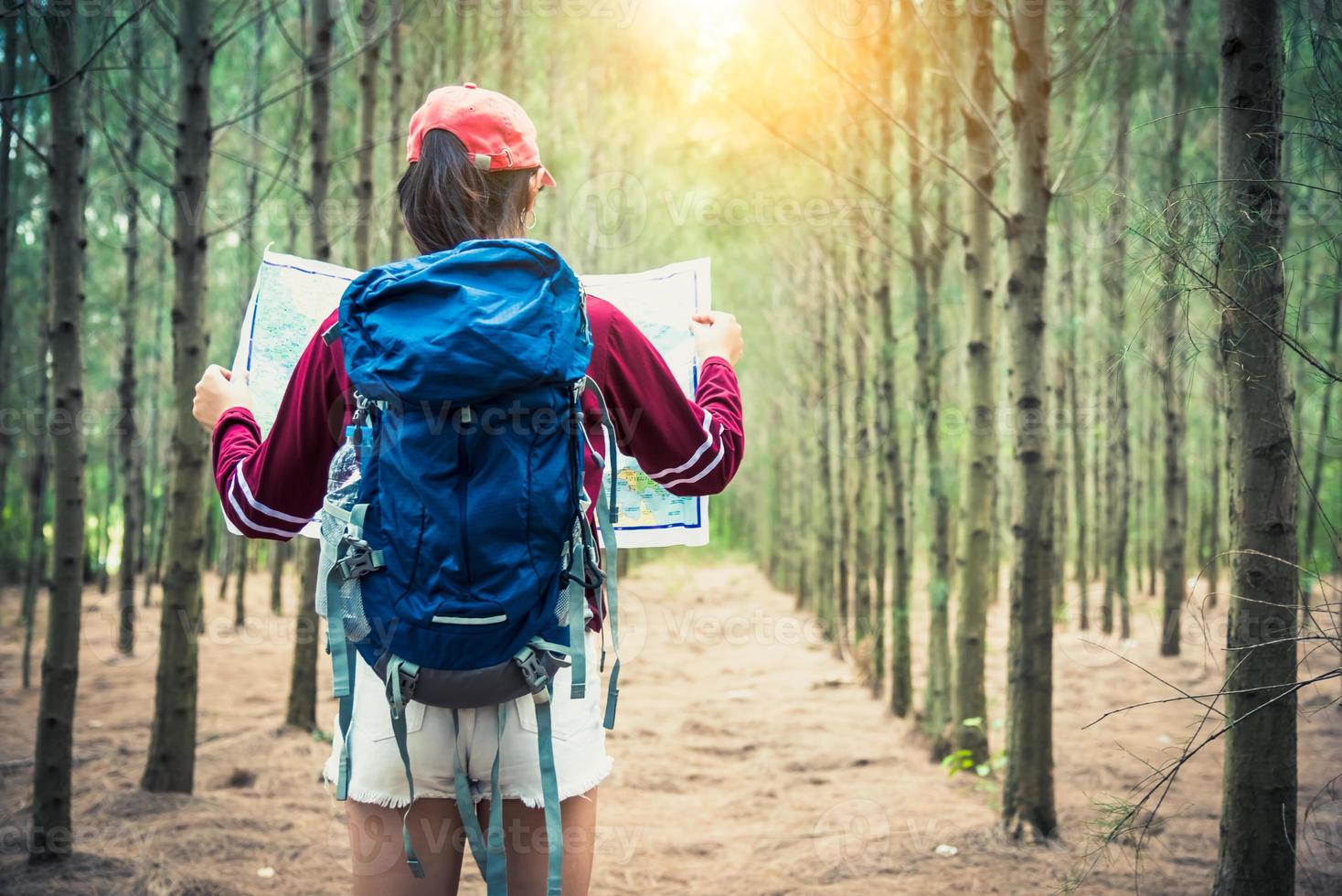 Turista femminile viaggio in pineta viaggio escursionismo durante le vacanze foto