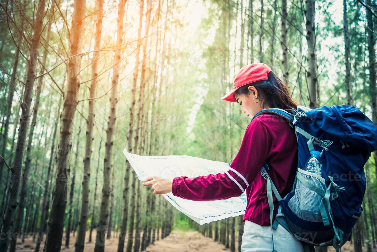 Turista femminile viaggio in pineta viaggio escursionismo durante le vacanze foto