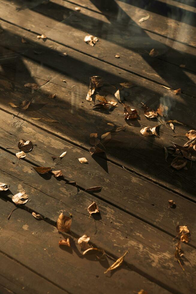 caduto le foglie su il terrazza foto