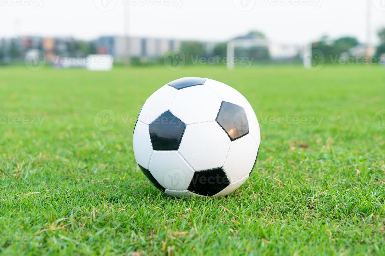 pallone da calcio sul campo da calcio foto