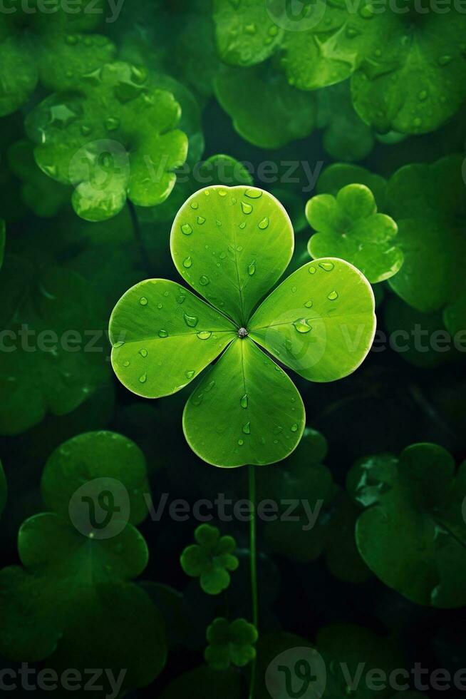 verde trifoglio le foglie su un' buio sfondo. San Patrizio giorno. ai generato foto