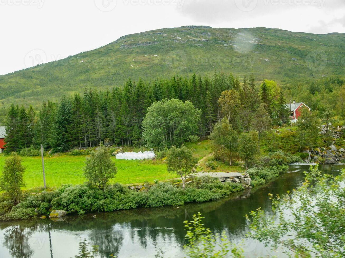 estate tempo nel Norvegia foto