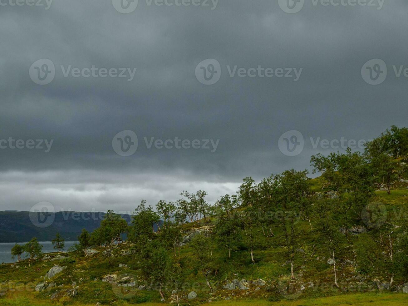 nave crociera nel Norvegia foto