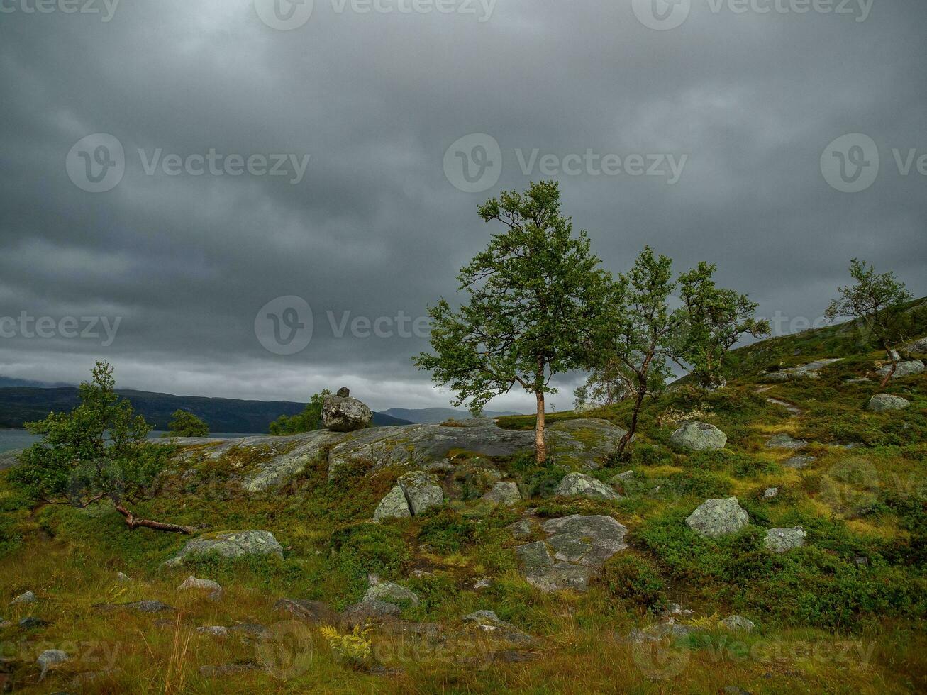 estate tempo nel Norvegia foto