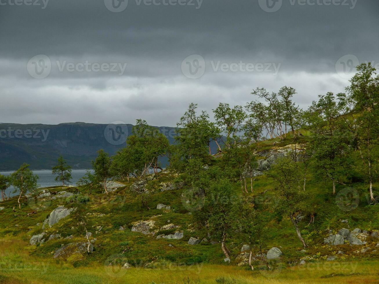 nave crociera nel Norvegia foto