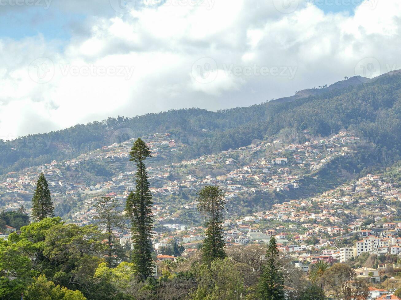 primavera tempo nel funchal Madera foto