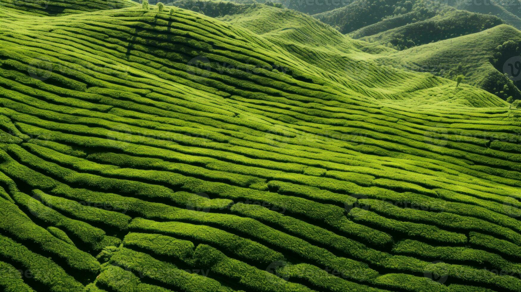 ai generato verde tè piantagione, superiore Visualizza struttura foto