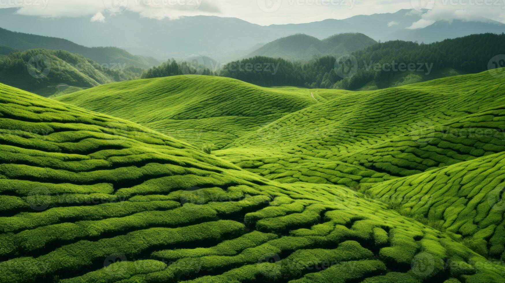 ai generato verde tè piantagione, superiore Visualizza struttura foto